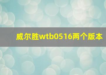 威尔胜wtb0516两个版本