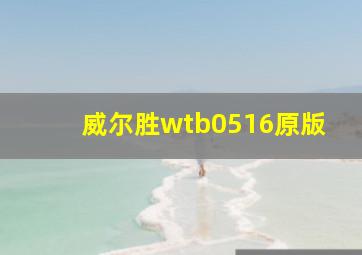 威尔胜wtb0516原版