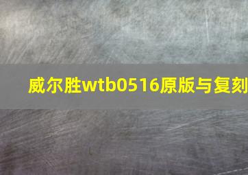 威尔胜wtb0516原版与复刻