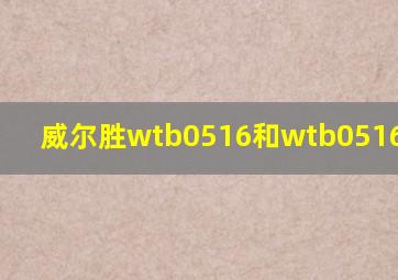 威尔胜wtb0516和wtb0516ib07cn