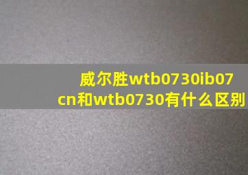 威尔胜wtb0730ib07cn和wtb0730有什么区别