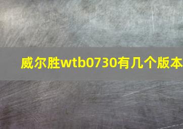 威尔胜wtb0730有几个版本