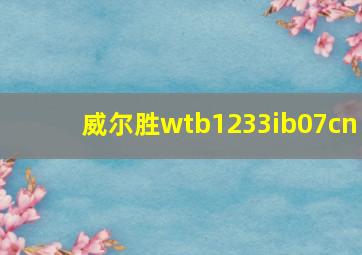 威尔胜wtb1233ib07cn