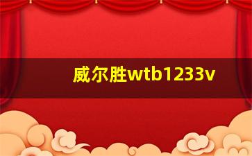 威尔胜wtb1233v