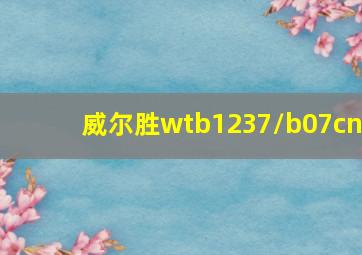 威尔胜wtb1237/b07cn