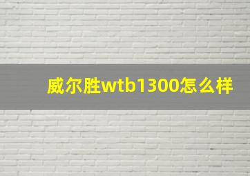 威尔胜wtb1300怎么样