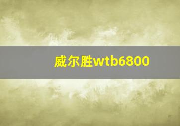 威尔胜wtb6800