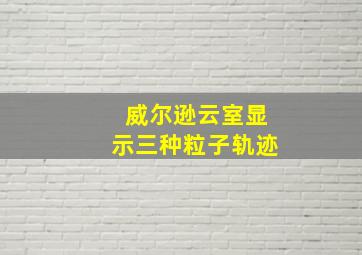 威尔逊云室显示三种粒子轨迹