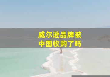 威尔逊品牌被中国收购了吗