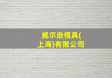 威尔逊模具(上海)有限公司