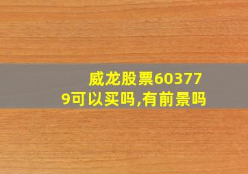 威龙股票603779可以买吗,有前景吗