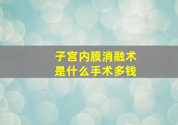 子宫内膜消融术是什么手术多钱