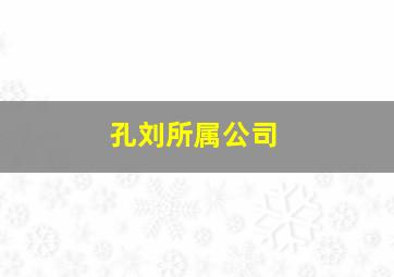 孔刘所属公司