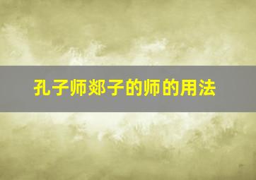 孔子师郯子的师的用法