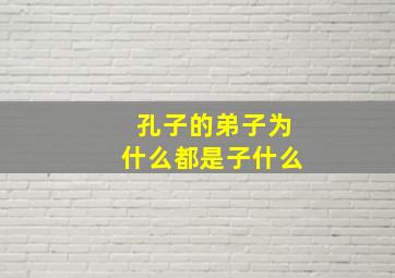 孔子的弟子为什么都是子什么