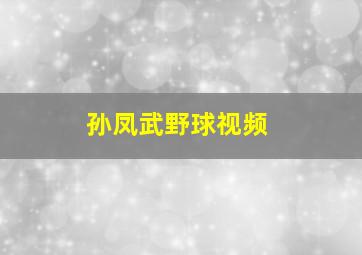 孙凤武野球视频