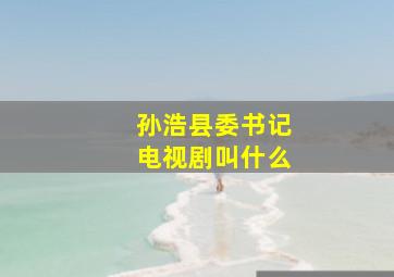 孙浩县委书记电视剧叫什么