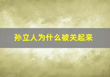 孙立人为什么被关起来