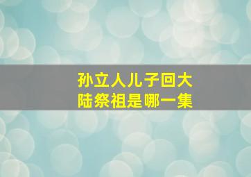 孙立人儿子回大陆祭祖是哪一集