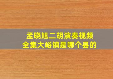 孟晓旭二胡演奏视频全集大峪镇是哪个县的