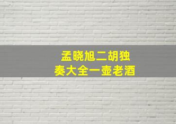 孟晓旭二胡独奏大全一壶老酒