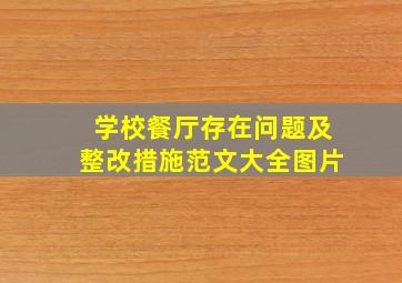 学校餐厅存在问题及整改措施范文大全图片