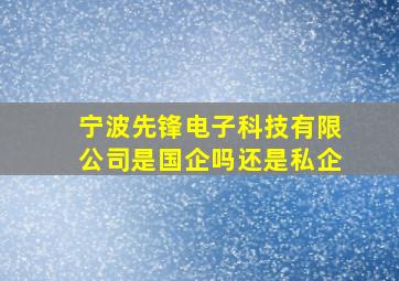 宁波先锋电子科技有限公司是国企吗还是私企