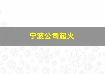 宁波公司起火