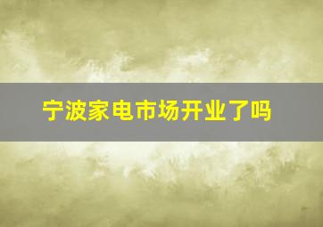 宁波家电市场开业了吗