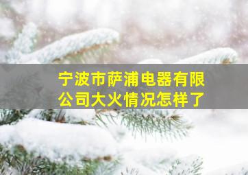 宁波市萨浦电器有限公司大火情况怎样了