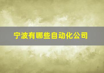 宁波有哪些自动化公司