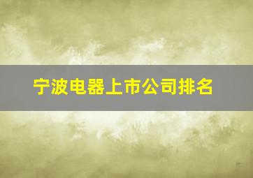 宁波电器上市公司排名