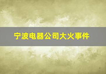 宁波电器公司大火事件