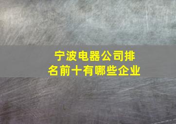 宁波电器公司排名前十有哪些企业