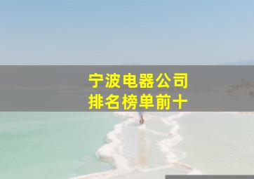 宁波电器公司排名榜单前十