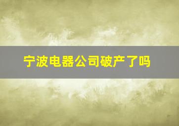 宁波电器公司破产了吗