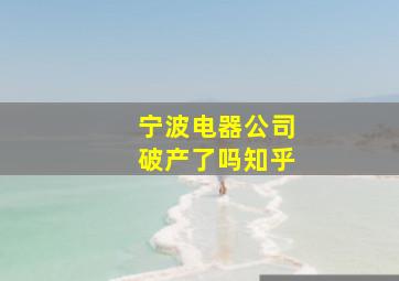 宁波电器公司破产了吗知乎