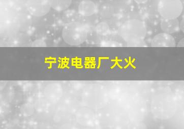 宁波电器厂大火