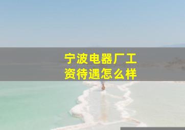 宁波电器厂工资待遇怎么样