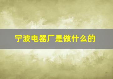 宁波电器厂是做什么的