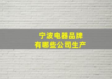 宁波电器品牌有哪些公司生产