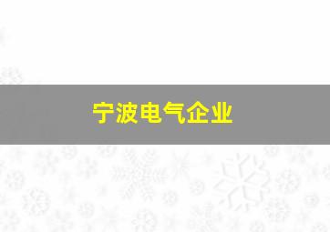 宁波电气企业