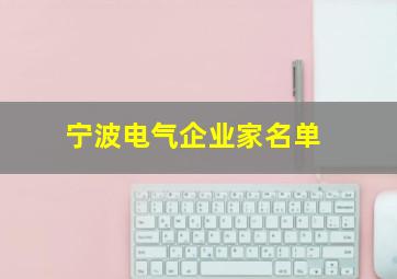 宁波电气企业家名单