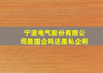 宁波电气股份有限公司是国企吗还是私企啊