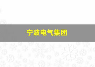 宁波电气集团