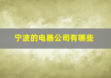 宁波的电器公司有哪些