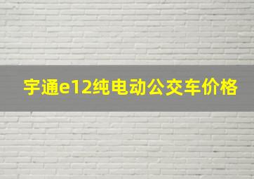 宇通e12纯电动公交车价格