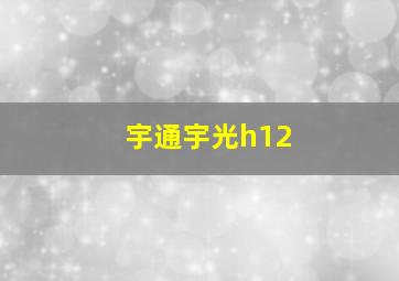 宇通宇光h12