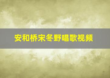 安和桥宋冬野唱歌视频