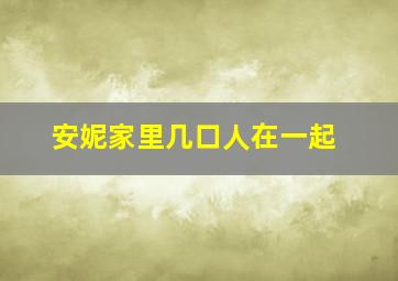 安妮家里几口人在一起